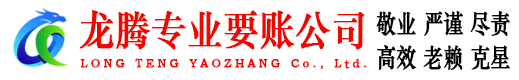 龙湖讨债公司